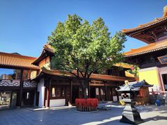 -亭林园-华藏寺