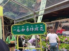 -瑞虹新天地月亮湾