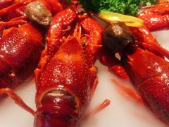 冰镇小龙虾-沪小胖小龙虾(淮海中路旗舰店)