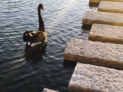 -南京圣和府邸豪华精选酒店