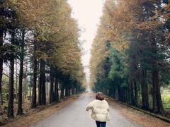 -山王坪喀斯特国家生态公园