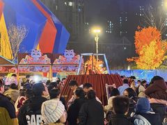-海合安武汉极地海洋公园
