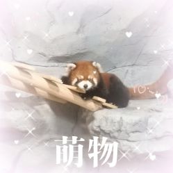 -Zoolung Zoolung动物主题公园(海信广场店)