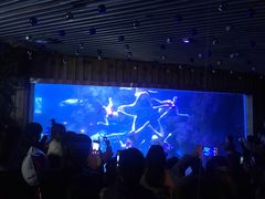 -左海海底世界