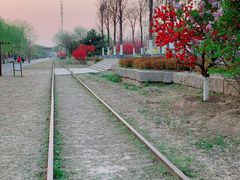 -永定河休闲森林公园