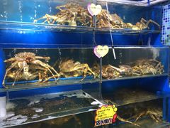 -蚝专家(北滘店)