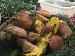 -昆虫窝子·特色云南菜(拓东路总店)