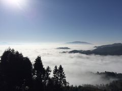 -紫鹊界梯田景区