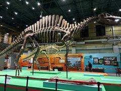 -国家自然博物馆