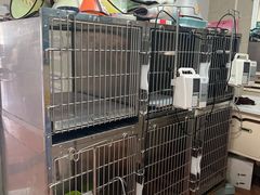 -千城康桥宠物医院CT影像·骨科·心脏专科中心(厚街分院)
