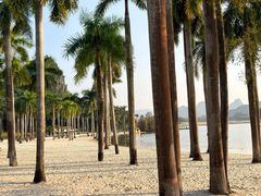 -南宁花花大世界景区