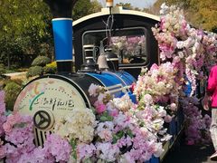 -上海鲜花港