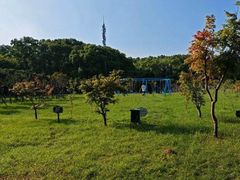 -嘉北郊野公园