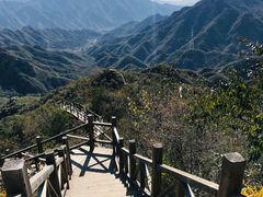 -大岭沟猕猴桃谷风景区