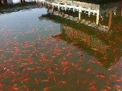 -雁滩公园