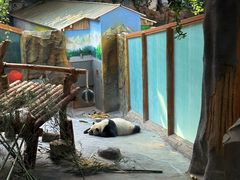 -青藏高原野生动物园