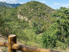 -白水寺森林公园