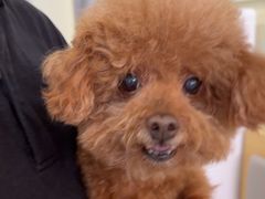 -美联众合动物医院·24h转诊中心