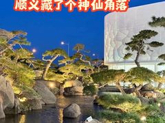 -罗红摄影艺术馆