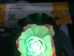 -印象普陀