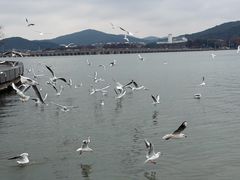 -水上明月·湖景餐厅