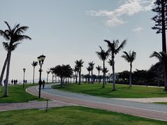 -野狸岛