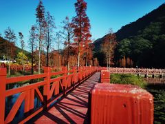 -广州市石门国家森林公园
