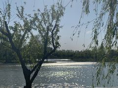 -东郊湿地公园