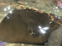 -鸿通城购物中心