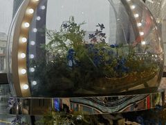 -杭州大厦LSE城市生活超市(杭州大厦店)