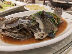 清蒸珍珠斑-四海之家(蛇口店)