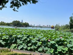 -济南大明湖景区