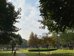 -后襄河公园