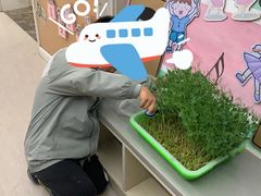 -徐汇区陇龙幼稚园