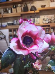 -今日陶艺(富力广场店)