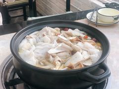 -蘑统田下·野生菌火锅