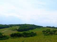 -御道口草原森林风景区