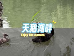 -西苑公园