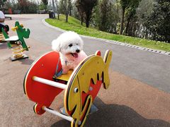 -枫香湖儿童公园