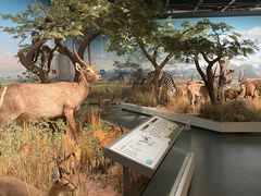 -陕西自然博物馆