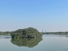 -海珠湖公园
