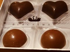 -BLACKSWAN黑天鹅(环球店)