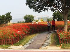 -羊亭河湿地公园