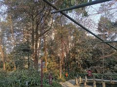 -成都市活水公园