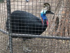 -费瑟代尔野生动物园