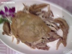 手机&nbsp;053-金八仙酒店