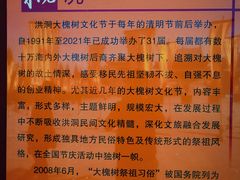 -大槐树寻根祭祖园