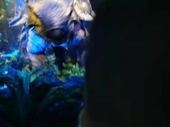 -侏罗纪世界电影特展(广州站)