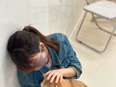 -共舞时光猫咖·狗咖(新街口店)
