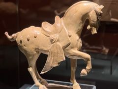 -辽宁省博物馆
